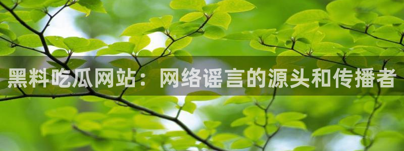 51吃瓜张津瑜