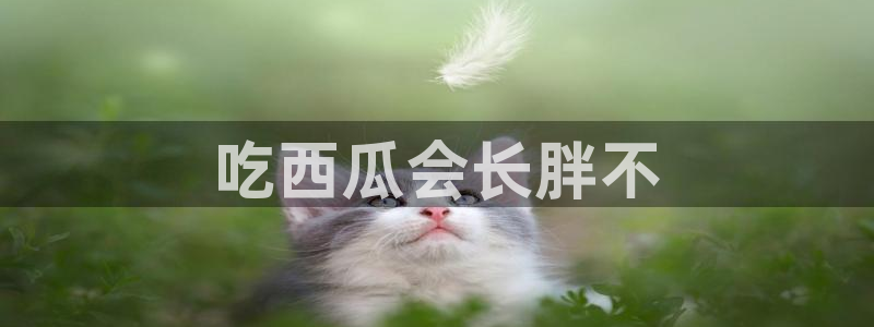 吃瓜小说：吃西瓜会长胖不