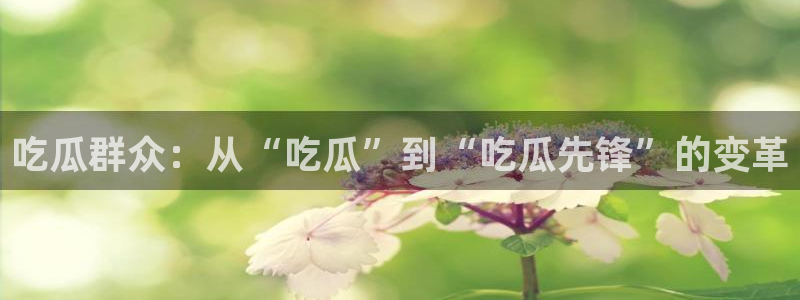 www.黑料：吃瓜群众：从“吃瓜”到“吃瓜先锋”的变革