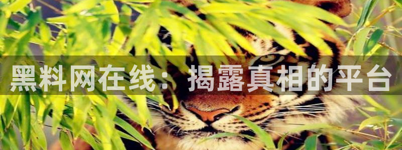 ccgg今日吃瓜：黑料网在线：揭露真相的平台