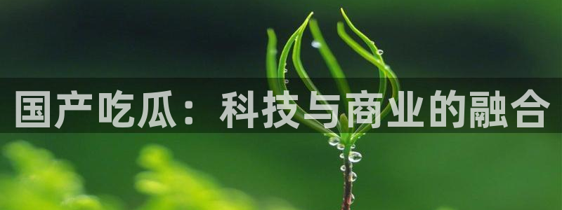 高血糖能吃籽瓜吗