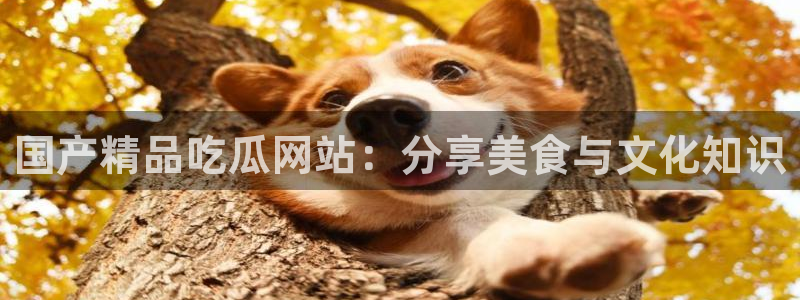 51吃瓜今日吃瓜娜娜：国产精品吃瓜网站：分享美食与文化知识
