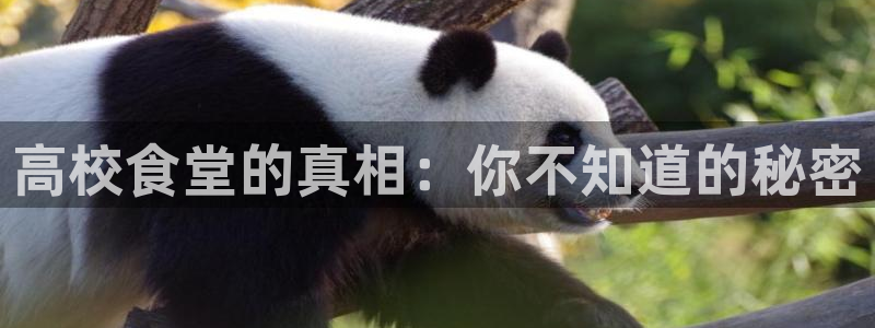 51cg1.ct吃瓜张津瑜：高校食堂的真相：你不知道的秘密