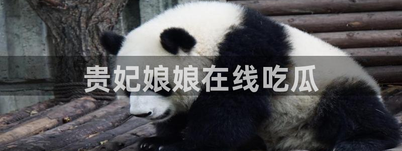 91吃瓜网今日大瓜热门大瓜：贵妃娘娘在线吃瓜