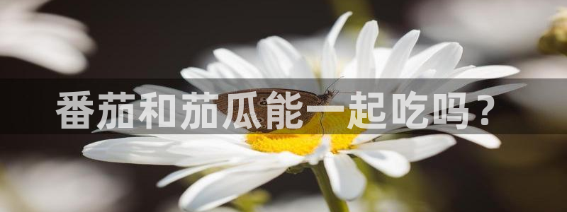 51吃瓜热心张津瑜