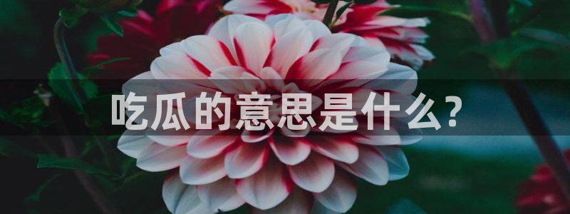 51吃瓜网每日榜单