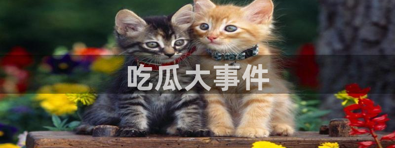 51吃瓜 张津瑜：吃瓜大事件