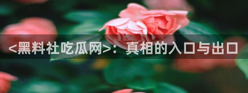 吃瓜网 今日吃瓜 热门大瓜