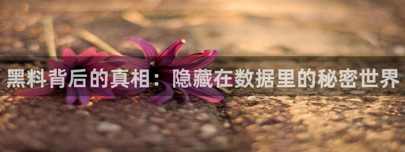 51吃瓜今日吃瓜入口最新:黑料背后的真相:隐藏在数据里的秘密世界