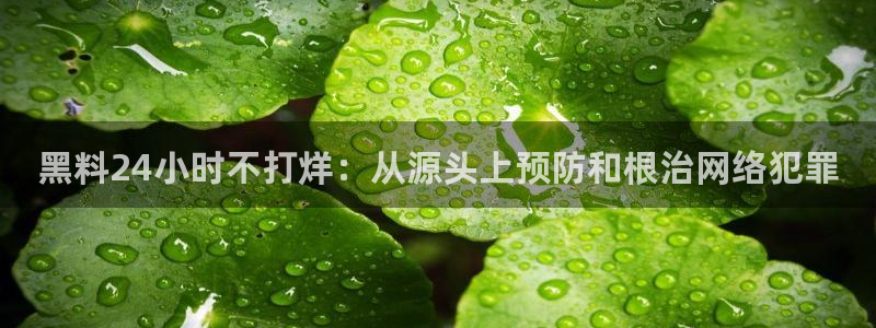 脆瓜尽量少吃最好不吃：黑料24小时不打烊：从源头上预防和根治网络犯罪