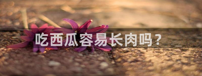 长生武道:从九龙夺嫡开始吃瓜