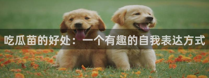 ccgg.mob今日吃瓜：吃瓜苗的好处：一个有趣的自我表达方式